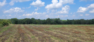 Photo for 65562 County Road 86, Theilman, MN 55945 - Listing #6088874 65562 County Road 86, Theilman, MN 55945