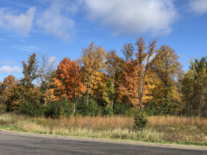 Photo for 11612 Brayburn Trail, Dayton, MN 55369 - Listing #6095318 Elm Creek is also home to a variety of wildlife such as eagles, sandhill cranes, deer, bluebirds, beavers, loons, trumpeter swans and hawks.