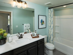 Photo for 11612 Brayburn Trail, Dayton, MN 55369 - Listing #6095318 A third full bath is located near the 4th bedroom in the lower level.