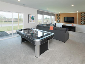 Photo for 11612 Brayburn Trail, Dayton, MN 55369 - Listing #6095318 The lower level walks out to the backyard and is a great space for games of all types.
