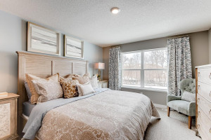Photo for 13116 Zachary Lane N, Dayton, MN 55327 - Listing #6093893 The home's second level starts with this oasis of a primary suite!! (Photos of the same floorplan, colors are similar).