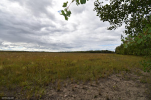 Photo for 6038 County Road 8 NW, Williams, MN 56686 - Listing #6095187 6038 County Road 8 NW, Williams, MN 56686