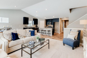 Photo for 14081 Cheshire Lane N, Dayton, MN 55327 - Listing #6095271 14081 Cheshire Lane N, Dayton, MN 55327