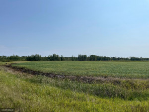 Photo for 5987 Wild Rice Road, Baudette, MN 56623 - Listing #6098888 5987 Wild Rice Road, Baudette, MN 56623