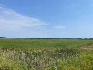 Photo for 5987 Wild Rice Road, Baudette, MN 56623 - Listing #6098888 5987 Wild Rice Road, Baudette, MN 56623