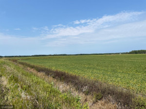 Photo for 5987 Wild Rice Road, Baudette, MN 56623 - Listing #6098888 5987 Wild Rice Road, Baudette, MN 56623