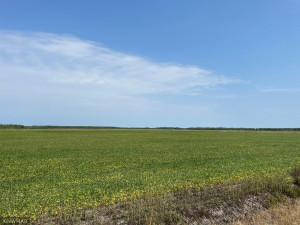 Photo for 5987 Wild Rice Road, Baudette, MN 56623 - Listing #6098888 5987 Wild Rice Road, Baudette, MN 56623