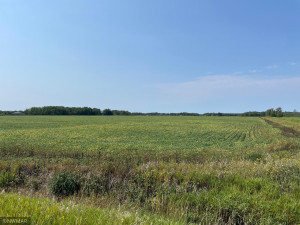 Photo for 5987 Wild Rice Road, Baudette, MN 56623 - Listing #6098888 5987 Wild Rice Road, Baudette, MN 56623