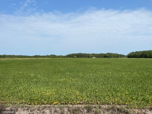 Photo for 5987 Wild Rice Road, Baudette, MN 56623 - Listing #6098888 5987 Wild Rice Road, Baudette, MN 56623