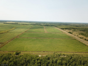 Photo for 5987 Wild Rice Road, Baudette, MN 56623 - Listing #6098888 5987 Wild Rice Road, Baudette, MN 56623