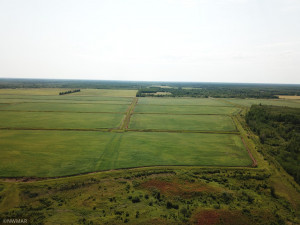 Photo for 5987 Wild Rice Road, Baudette, MN 56623 - Listing #6098888 5987 Wild Rice Road, Baudette, MN 56623