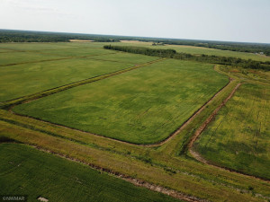 Photo for 5987 Wild Rice Road, Baudette, MN 56623 - Listing #6098888 5987 Wild Rice Road, Baudette, MN 56623