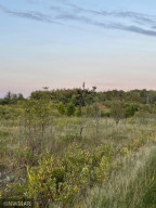 Photo for 74027 Morel Road NW, Grygla, MN 56727 - Listing #6099213 74027 Morel Road NW, Grygla, MN 56727