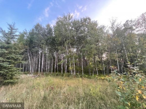 74027 Morel Road NW, Grygla, MN 56727