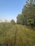 Photo for 74027 Morel Road NW, Grygla, MN 56727 - Listing #6099213 74027 Morel Road NW, Grygla, MN 56727