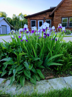 Photo for 8122 Dawson Road NW, Angle Inlet, MN 56711 - Listing #6098496 8122 Dawson Road NW, Angle Inlet, MN 56711