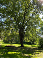 Photo for 606 4th Street S, Atwater, MN 56209 - Listing #6097916 606 4th Street S, Atwater, MN 56209