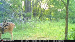 Photo for 1 15th ST., Humeston, IA 50008 - Listing #6104283 1 15th ST., Humeston, IA 50008