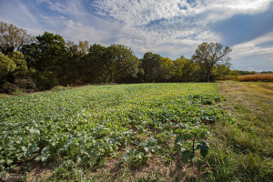 Photo for 1 15th ST., Humeston, IA 50008 - Listing #6104283 1 15th ST., Humeston, IA 50008