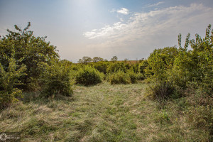 Photo for 1 15th ST., Humeston, IA 50008 - Listing #6104283 1 15th ST., Humeston, IA 50008