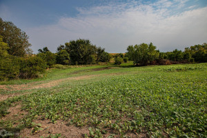Photo for 1 15th ST., Humeston, IA 50008 - Listing #6104283 1 15th ST., Humeston, IA 50008