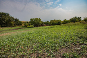 Photo for 1 15th ST., Humeston, IA 50008 - Listing #6104283 1 15th ST., Humeston, IA 50008