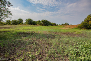Photo for 1 15th ST., Humeston, IA 50008 - Listing #6104283 1 15th ST., Humeston, IA 50008