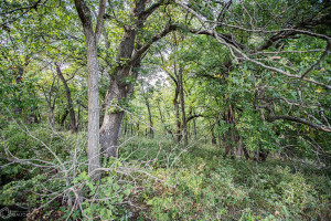 Photo for 1 15th ST., Humeston, IA 50008 - Listing #6104283 1 15th ST., Humeston, IA 50008