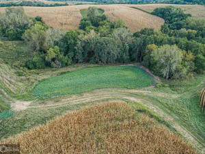 Photo for 1 15th ST., Humeston, IA 50008 - Listing #6104283 1 15th ST., Humeston, IA 50008