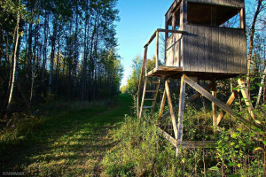 Photo for 4305 State Hwy 11 NW, Williams, MN 56686 - Listing #6104186 4305 State Hwy 11 NW, Williams, MN 56686