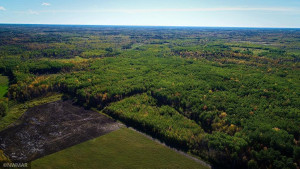 Photo for 4305 State Hwy 11 NW, Williams, MN 56686 - Listing #6104186 4305 State Hwy 11 NW, Williams, MN 56686
