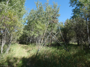 Photo for 23 highway, Thief River Falls, MN 56701 - Listing #6105028 23 highway, Thief River Falls, MN 56701
