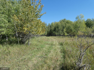 Photo for 23 highway, Thief River Falls, MN 56701 - Listing #6105028 23 highway, Thief River Falls, MN 56701