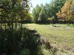 Photo for 23 highway, Thief River Falls, MN 56701 - Listing #6105028 23 highway, Thief River Falls, MN 56701