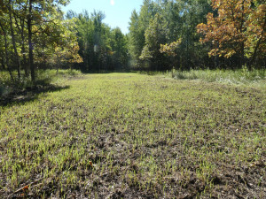 Photo for 23 highway, Thief River Falls, MN 56701 - Listing #6105028 23 highway, Thief River Falls, MN 56701