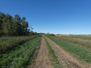 Photo for 23 highway, Thief River Falls, MN 56701 - Listing #6105028 23 highway, Thief River Falls, MN 56701
