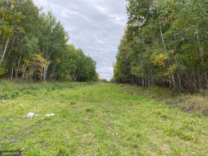 Photo for 23 county Road, Greenbush, MN 56726 - Listing #6105778 23 county Road, Greenbush, MN 56726