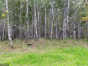 Photo for 23 county Road, Greenbush, MN 56726 - Listing #6105778 23 county Road, Greenbush, MN 56726