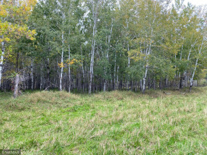 Photo for 23 county Road, Greenbush, MN 56726 - Listing #6105778 23 county Road, Greenbush, MN 56726