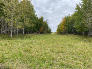 Photo for 23 county Road, Greenbush, MN 56726 - Listing #6105778 23 county Road, Greenbush, MN 56726