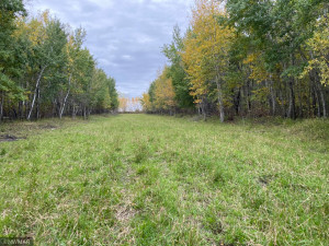 Photo for 23 county Road, Greenbush, MN 56726 - Listing #6105778 23 county Road, Greenbush, MN 56726