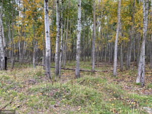 Photo for 23 county Road, Greenbush, MN 56726 - Listing #6105778 23 county Road, Greenbush, MN 56726