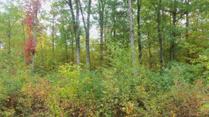 Photo for LOT 5 OAK HILL RD, Trego, WI 54888 - Listing #6105843 LOT 5 OAK HILL RD, Trego, WI 54888