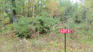 Photo for LOT 5 OAK HILL RD, Trego, WI 54888 - Listing #6105843 LOT 5 OAK HILL RD, Trego, WI 54888
