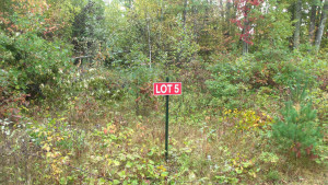 Photo for LOT 5 OAK HILL RD, Trego, WI 54888 - Listing #6105843 LOT 5 OAK HILL RD, Trego, WI 54888