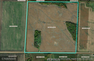 Photo for 17131 County Road 8, Greenbush, MN 56726 - Listing #6107156 17131 County Road 8, Greenbush, MN 56726