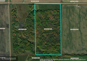 Photo for TBD County Road 8, Greenbush, MN 56726 - Listing #6107365 TBD County Road 8, Greenbush, MN 56726