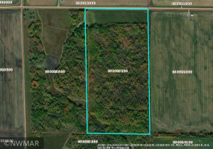 TBD County Road 8, Greenbush, MN 56726