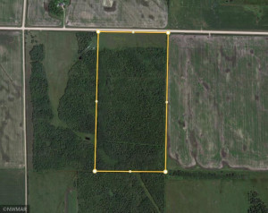 TBD County Road 8, Greenbush, MN 56726