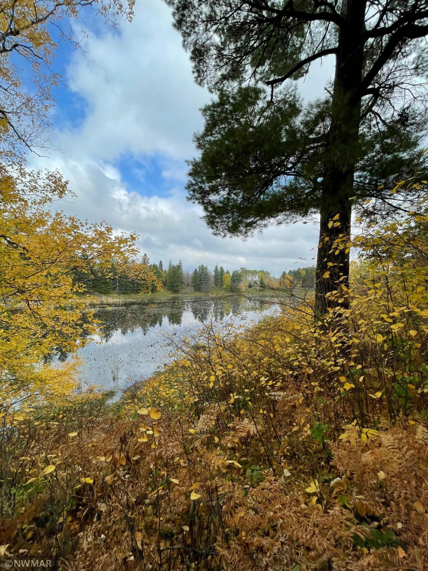Baudette/Birchdale – TruNorth Realty